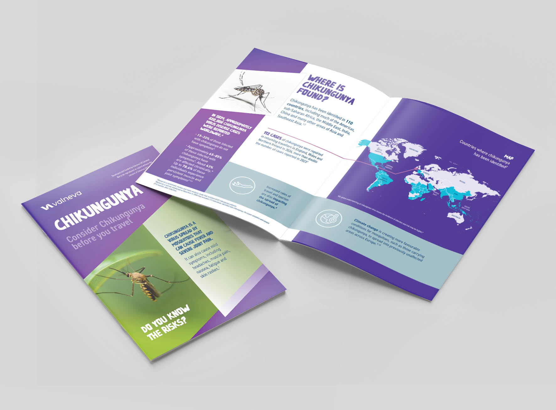 Chikungunya Patient Leaflet