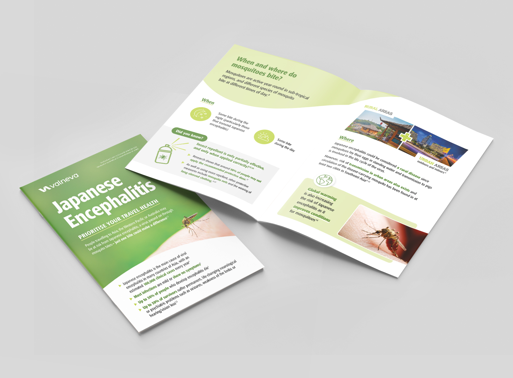 Japanese Encephalitis Patient Leaflet